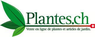 plantes.ch